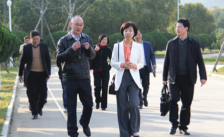 云顶集团·(中国区)最新官方网站