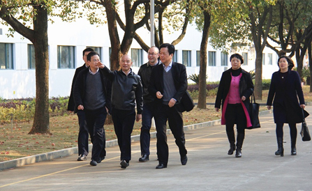 云顶集团·(中国区)最新官方网站