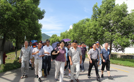 云顶集团·(中国区)最新官方网站